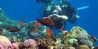 SNORKEL & CAMEL RIDE, QUAD BIKE FULL DAY IN DAHAB FROM SHARM EL SHEIKH