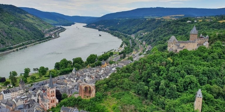 Private Rhine Valley tour with river cruise & wine tasting