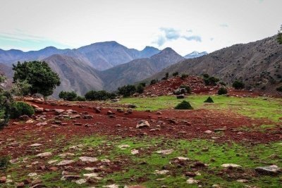 High Atlas Mountains Day Tour from Marrakech