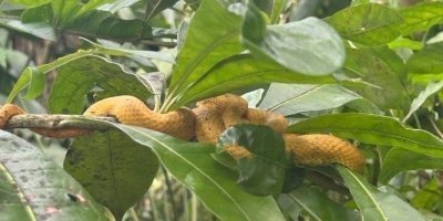 Sightseeing Day-Tours