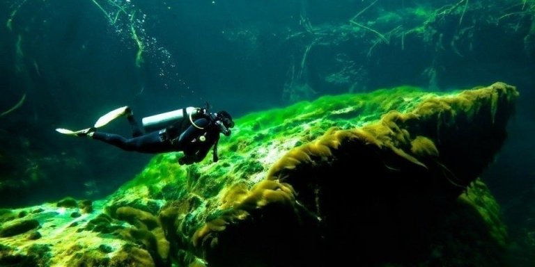 Discover Scuba Diving in a cenote