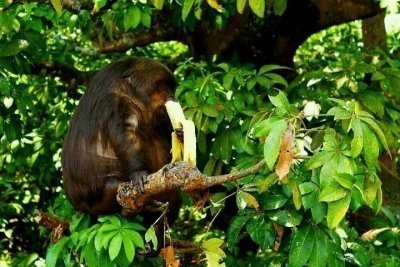 Ecological Reserves Tour