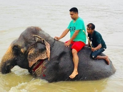 Nepal Wildlife Tour & World Heritage Sites Nepal Wildlife Tour & World Heritage Sites