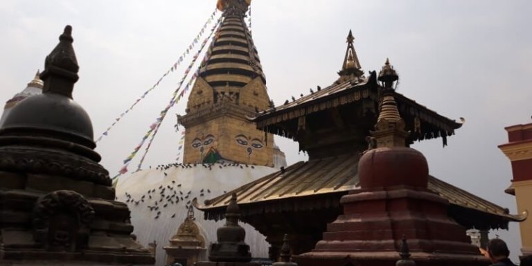 Nepal Wildlife Tour & World Heritage Sites