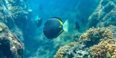 Water Activities & Sports