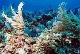 FULL DAY TOUR IN DAHAB FROM SHARM EL SHEIKH