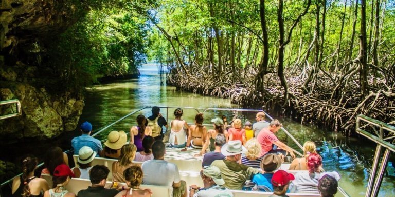 3in1: Los Haitises National Park + Yanigua Waterfall + Montaña Redonda