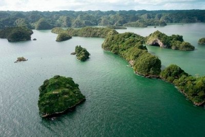 3in1: Los Haitises National Park + Yanigua Waterfall + Montaña Redonda