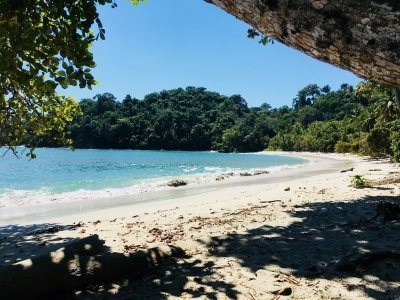 Manuel Antonio Park Tour and its Amazing Wildlife and Beaches