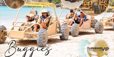 Motor Sports & Tours