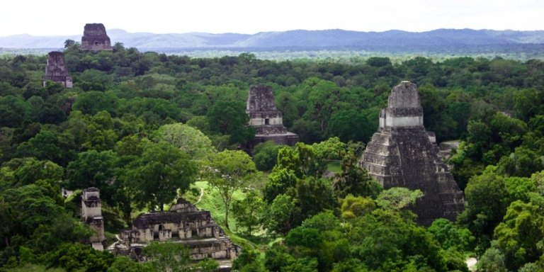 Tikal Tour with Transportation, Lunch and Local Guide - All Inclusive