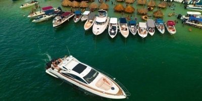 Boat Trips & Charters