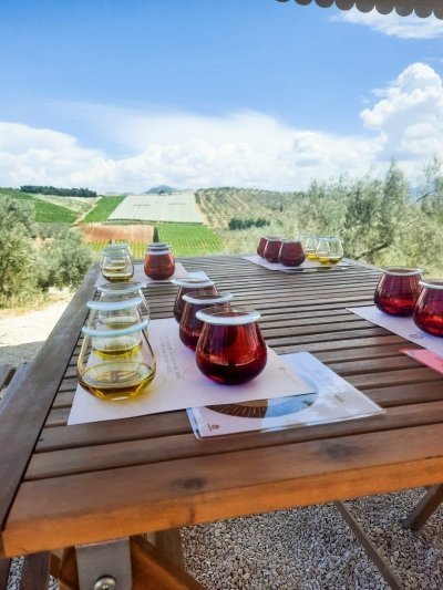 Private Olive Tasting Tour of Corinth with a Pickup