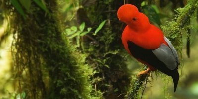 Multi-Day Tours & Cruises