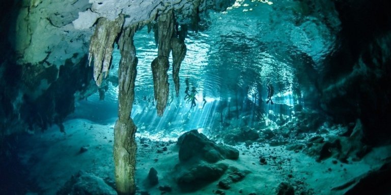 Dos Ojos cenote : 2 amazing & different dives