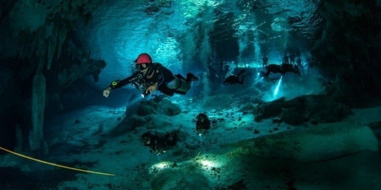Dive in 2 different cenotes in a half-day