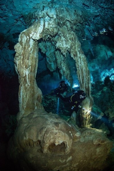 Dive in 2 different cenotes in a half-day