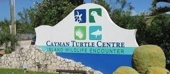 Grand Cayman Island Tour - Private VIP Tour Grand Cayman Island Tour - Private VIP Tour