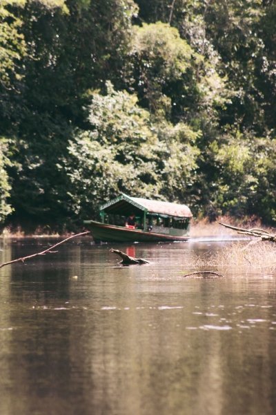 Mystical pacaya samiria 3 days