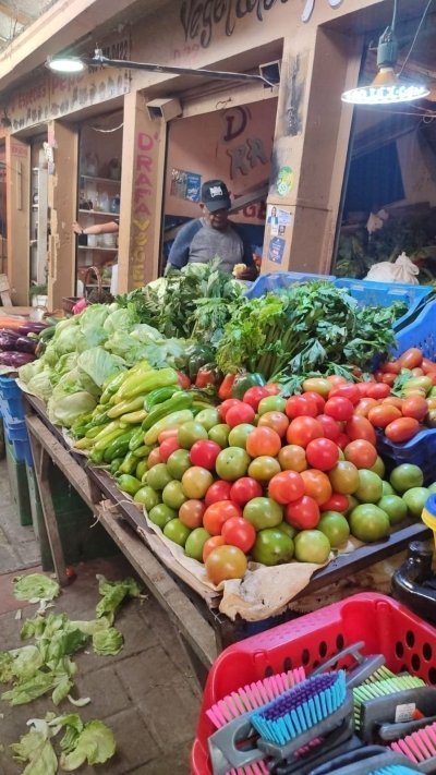 From punta cana: Zafary CityTour Half Day + Cathedral+buffet