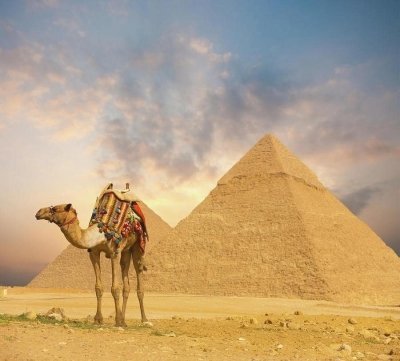 Tour to Giza Pyramids and Great Sphinx with Camel Ride