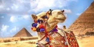 PRIVATE TOUR TO GIZA PYRAMIDS AND CAMEL RIDE &EGYPTIAN MUSEUM IN CAIRO