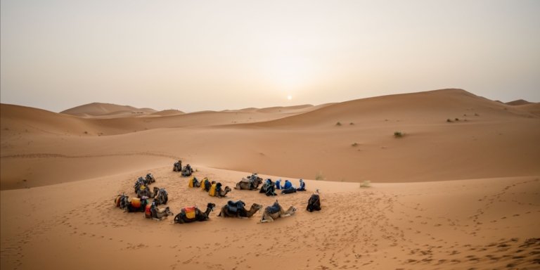 5-Day Sahara Tour from Marrakech: Merzouga & Draa