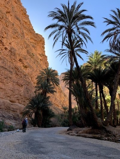 Round trip from Marrakech to the desert.