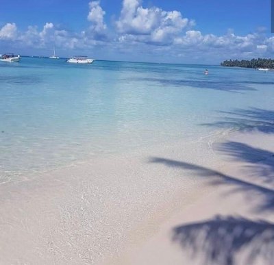 Saona Island Excursion