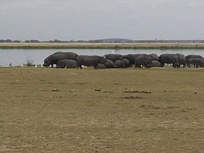 Kenya Luxury Safari - 6 Days Trip Kenya Luxury Safari - 6 Days Trip