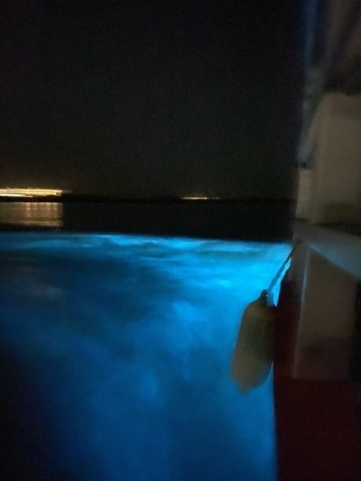 Luminous Lagoon Tour