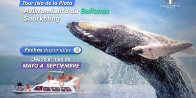 Water Activities & Sports