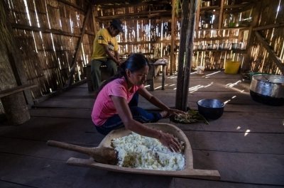 360 Jungle Tour Expedition Amazonia Ecuador