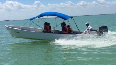 Flora and Fauna With Mayan Channel