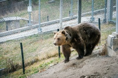 GPS & VIDEO Guided Tour: Adventurous Journey In The Rila Mountains