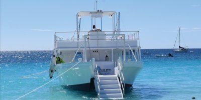 Barbados Turtle & Shipwreck Snorkel Adventure