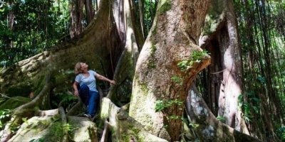 Rainforest Adventure and Beach