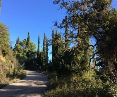 CFU02. Explore More in Corfu South Route