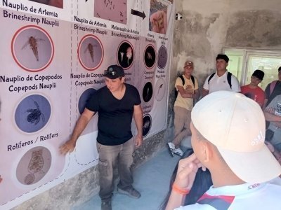 Seahorse Farm Guided Tour