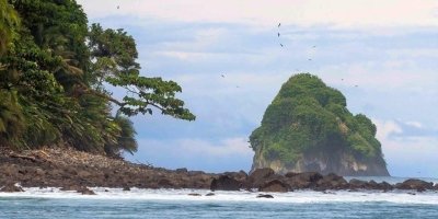 Multi-Day Tours & Cruises