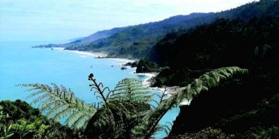 WEST COAST SCENIC TASTE TOUR - DAY TOUR