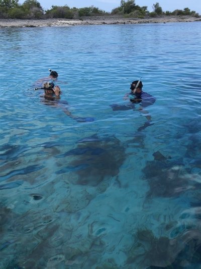 Private Snorkeling charter Bonaire Marine Park with captain and guide