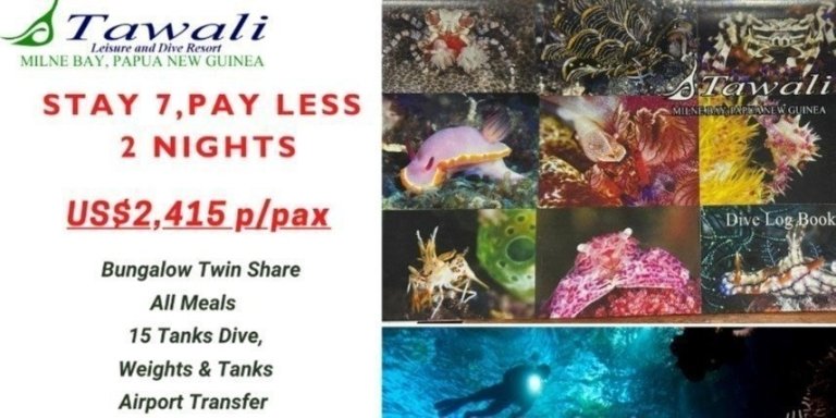 Tawali Resort Stay 7 Pay 5 Diving Package