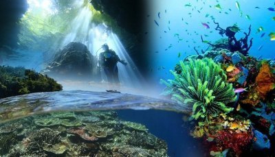 Tawali Resort Stay 7 Pay 5 Diving Package