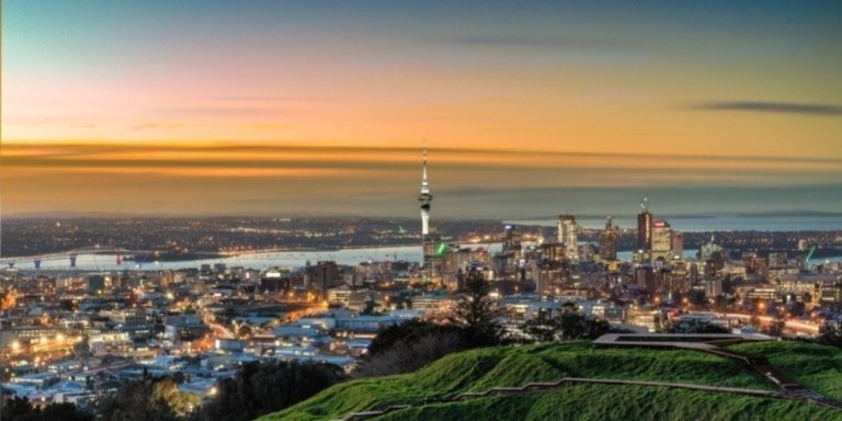 Auckland City Highlights Half Day Tour
