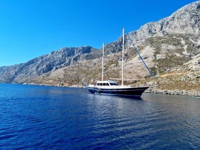 Private Daily cruise to Delos & Rhenia islands with Andreas