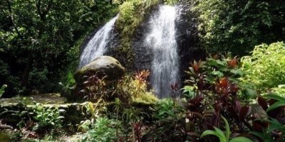 Tahiti Full Day Circle Private Tour