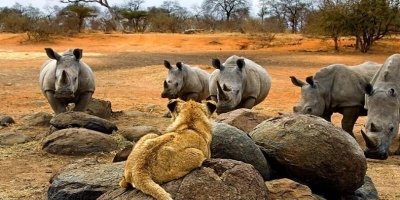 Trekking, Hiking & Riding Tours