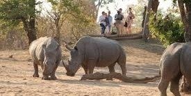 Trekking, Hiking & Riding Tours