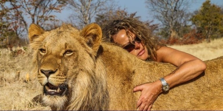 Mukuni Big 5 Safaris - Walking Tour with Lions and Cheetahs